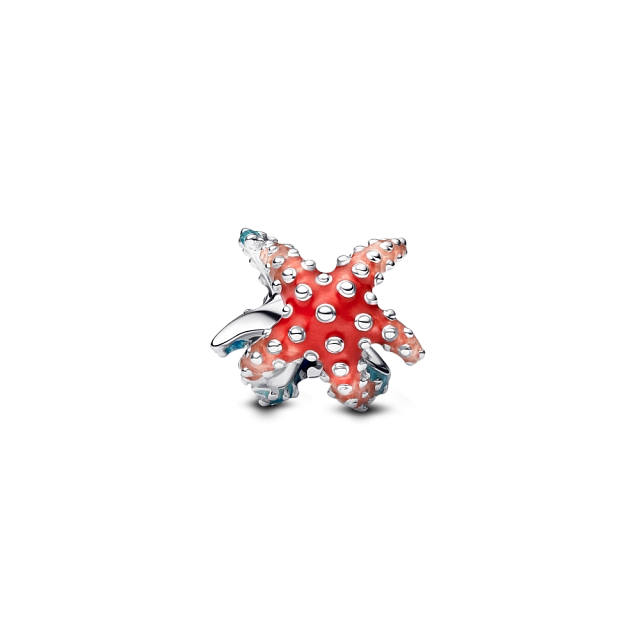 793817C01 Серебряная бусина